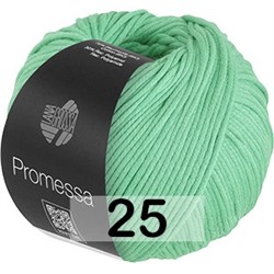 Пряжа Lana Grossa Promessa