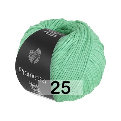 Пряжа Lana Grossa Promessa