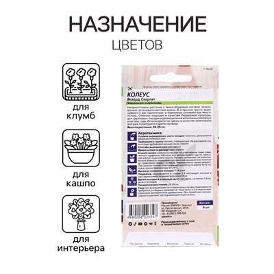Семена комнатных цветов Колеус "Скарлет", ц/п,  5 шт.