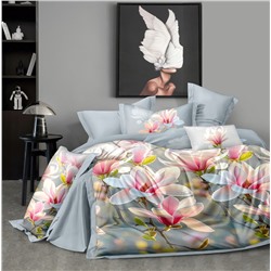 Постельное белье из поплина cтандарт ПВ31-1489