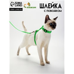 Комплект для кошек, ширина 1.5 см, ОШ 16.5-27 см, ОГ 21-35 см, поводок 120 см, зелёный