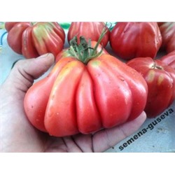 Помидоры Tlacolula Ribbed (10 семян)