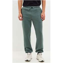 Брюки P521-0821-2 green