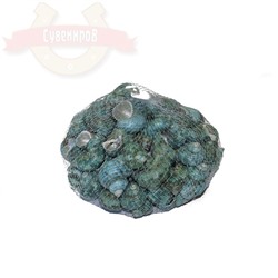 Н-р малых ракушек в сетке green 14см