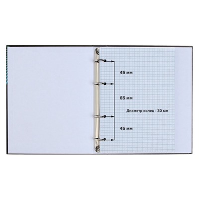 Тетрадь на кольцах Calligrata A5, 120 листов, в клетку, пластиковая обложка, блок офсет, салатовая