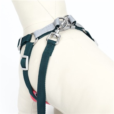 Комплект Sport+, XS, поводок 120×1.5 см, ОШ 37-39 см, ОГ 41-46 см, розово - чёрный