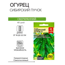 Семена Огурец "Сибирский Пучок", F1, 5 шт