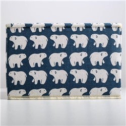 Короб стеллажный для хранения с крышкой «Северные мишки», 25×20×17 см, синий