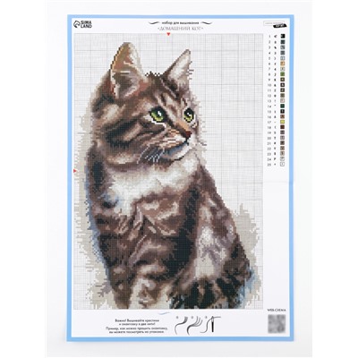 Вышивка крестиком «Домашний кот», набор для творчества, 21×30 см