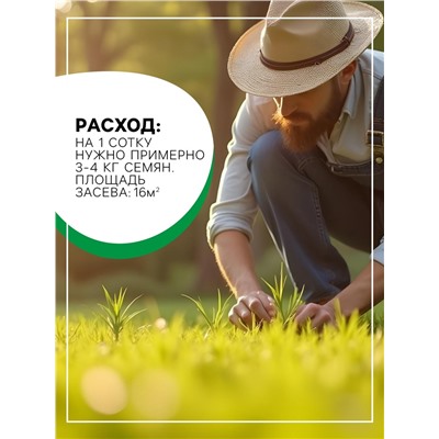 Газонная травосмесь«Красотень», Спринтер, 0.5 кг
