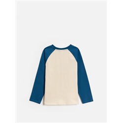 Acoola Джемпер 20120150139