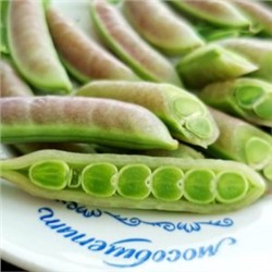 Снеп Горох Усатый Весенний Румянец — Snap Spring Blush Tendril Pea  (10 семян)