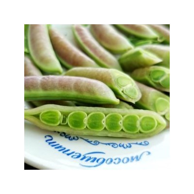 Снеп Горох Усатый Весенний Румянец — Snap Spring Blush Tendril Pea  (10 семян)