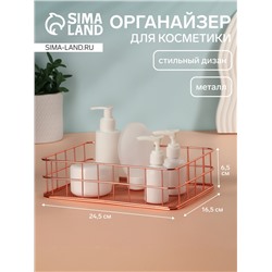 Органайзер для хранения косметических принадлежностей «РАФАЭЛЬ», 24,5 × 16,5 × 6,5 см, цвет бронзовый