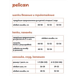 PELICAN Шапка