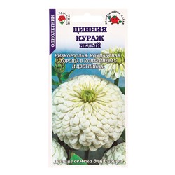 Семена Цинния «Кураж Белый», 0.2 г, «Золотая Сотка Алтая»