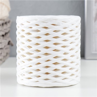 Пряжа для вязания спицами, крючком 100% целлюлоза Softino Raffia Color, ленточная, белая, 200 м ±2 м, 120 г
