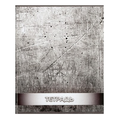 Комплект тетрадей из 4 штук, 96 листов в клетку Calligrata «Металл», обложка мелованный картон, блок офсет