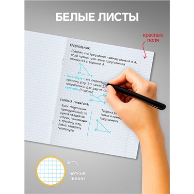 Набор тетрадей 36 листов в клетку, Calligrata «Фэшн», 5 штук