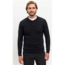 Джемпер мужской с отложным воротником и планкой на пуговицах F221-15-22021 чёрный