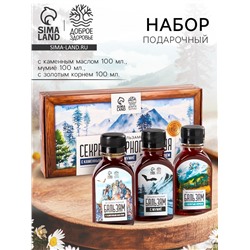 Подарочный набор бальзамов «Секреты горного алтая», с каменным маслом 100 мл., мумиё 100 мл., с золотым корнем 100 мл.