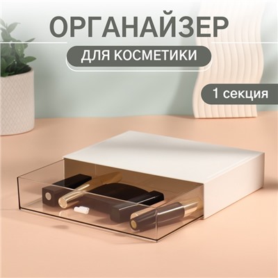 Органайзер для хранения «BASIC», 1 секция, 23 × 17 × 5 см, цвет белый/прозрачный