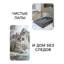 Наполнитель минеральный впитывающий «Пижон» для короткошерстных кошек, 5 л