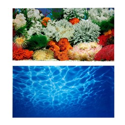 Фон для аквариума двухсторонний, 40×75 см