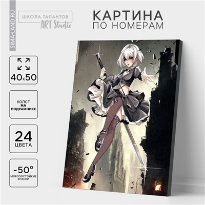 Картина по номерам на холсте с подрамником «Девушка с клинком», 40×50 см