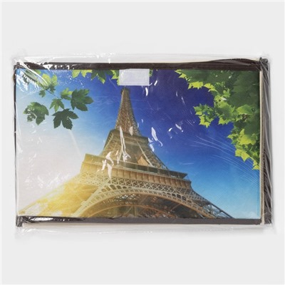 Короб стеллажный для хранения с крышкой «Эйфелева башня», 38×25×24 см