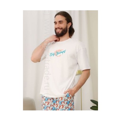 Футболка мужская №2124M-20049 Kusto Almando Melado Дроп