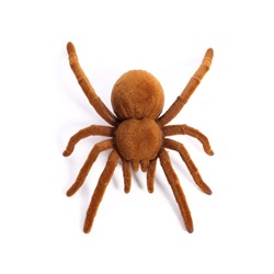 Жучок «Тарантул», работает от батареек