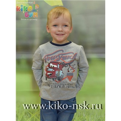 16190 Пусер с длинным рукавом Серый/98