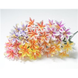 Ветка в букете бубенчик 6 голов. Цвет в ассортименте, без права выбора.