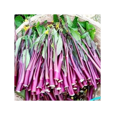 Хуншаньская капуста Косаитаи 金殿 玉 菜 — Нефритовая Сокровищница Золотого Буддийского Храма Баотун (50 семян)