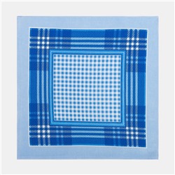 Платки носовые мужские «Этель», 30×30 см, набор 12 шт., голубые, рисунок МИКС, хлопок 100%