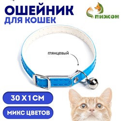 Ошейник глянцевый на резинке, с бубенчиком, 30×1 см, микс цветов