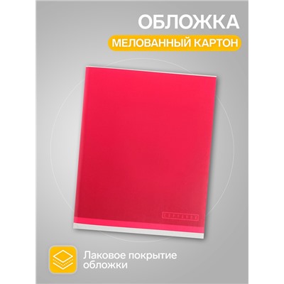 Набор тетрадей, 96 листов в клетку, Calligrata «Градиент», 4 штуки
