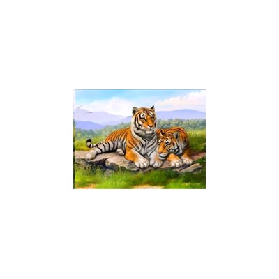 Алмазная мозаика на подрамнике 40x50 / YSG1121 /уп 30/