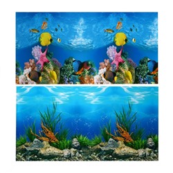 Фон для аквариума двухсторонний, 40×75 см