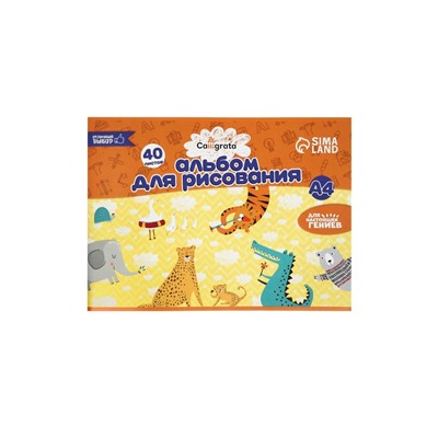 Набор альбомов для рисования Calligrata, 2 штуки, А4, 40 листов, на скрепке