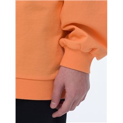 PELICAN Толстовка
