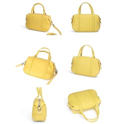 DOLAND LION  Сумка женская / кожа /  1633