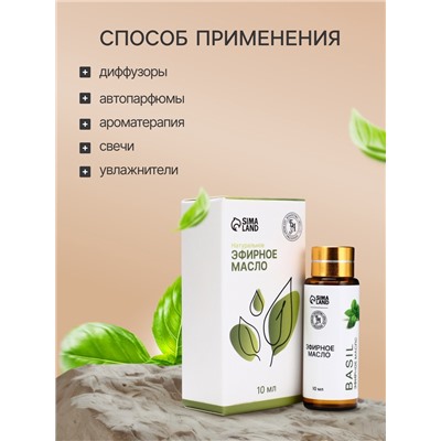 Эфирное масло «Базилик», 10 мл, с пипеткой