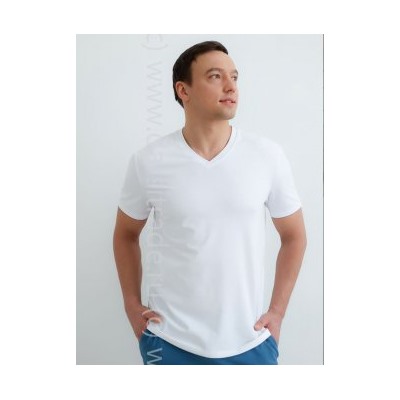 Футболка мужская №2726M-20181 Einshtein Almando Melado Дроп