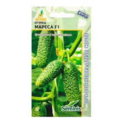 Семена Огурец «Мареса», F1, 8 шт., «Агросс»
