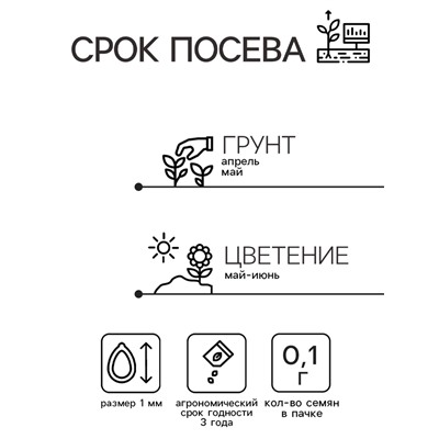 Семена цветов Иберис «Смесь», «Тимирязевский питомник», 0.1 г