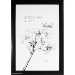 Фоторамка 40х60 /2900A-012C/