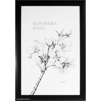 Фоторамка 40х60 /2900A-012C/