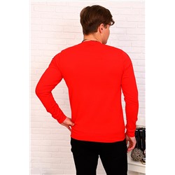 Толстовка #666763